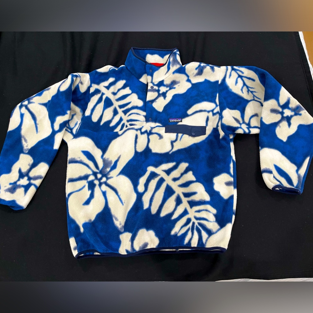Patagonia Synchilla Men’s Large